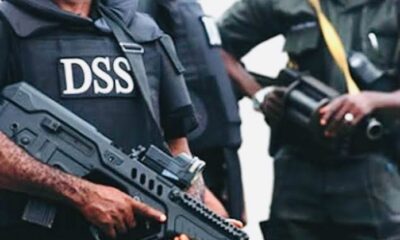 DSS Disperse Doctors